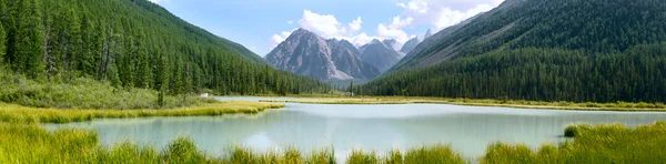 Panoráma nyári kilátás a hegyekre és a tóra-altay, Oroszország — Stock Fotó