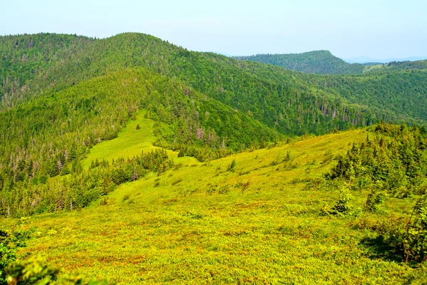 Vista verde da montanha — Fotografia de Stock