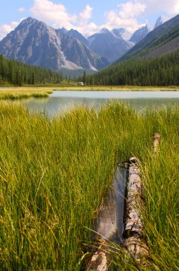 Summer view of mountains and lake in Altay, Russia clipart