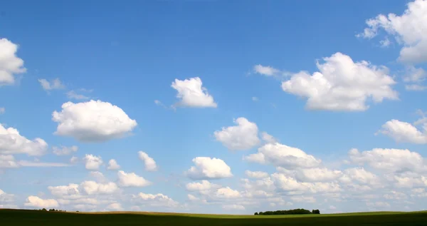 Hierba verde, cielo azul y nubes blancas — Foto de Stock