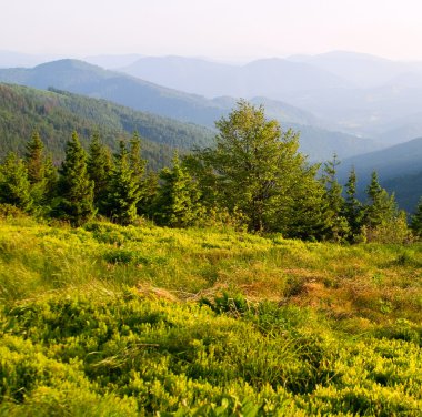 Layered mountains landscape with grass clipart