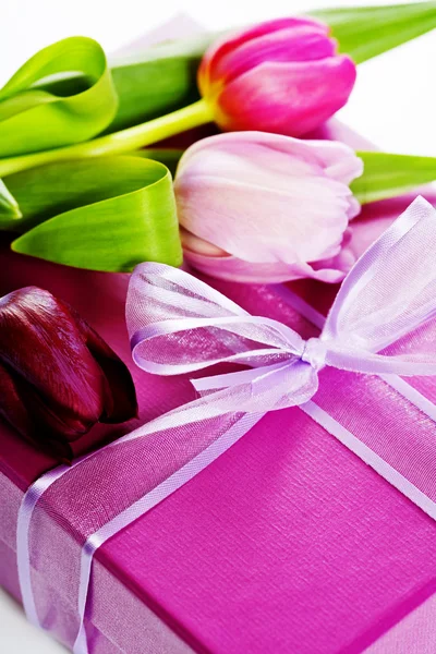 粉红色的郁金香和礼品盒 — 图库照片