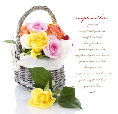 Roses clipart