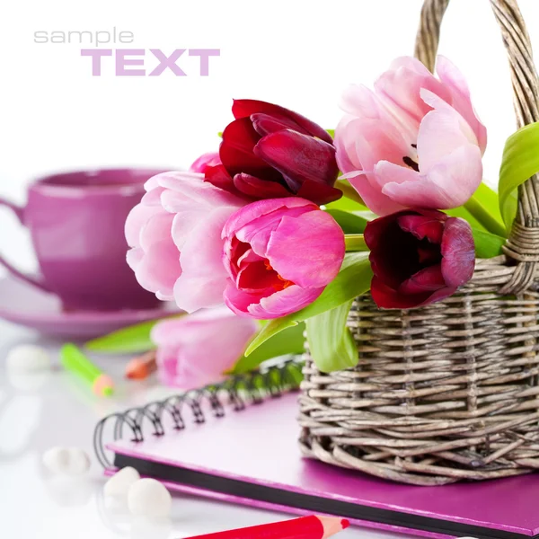 Roze tulpen — Stockfoto