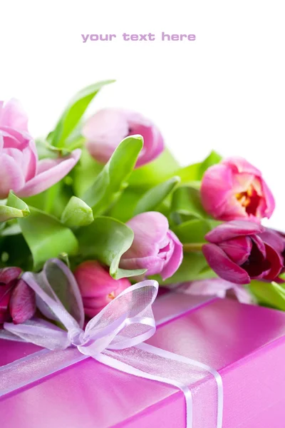 Růžové tulipány a krabičky — Stock fotografie