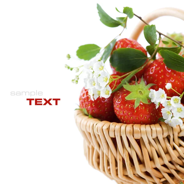 Καλάθι με φράουλες — Φωτογραφία Αρχείου