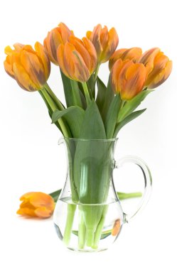 Vase of tulips clipart