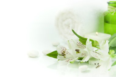 Green and white (SPA concept) clipart