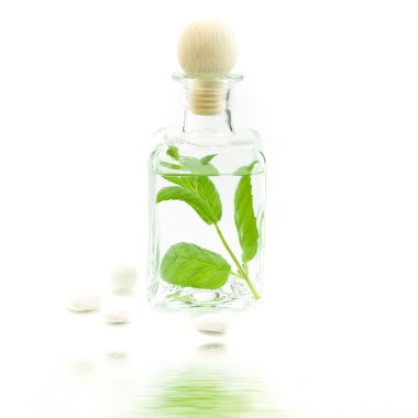 Jar with fresh leaves clipart