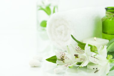 Green and white (SPA concept) clipart