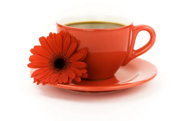Kávé- és virág — Stock Fotó