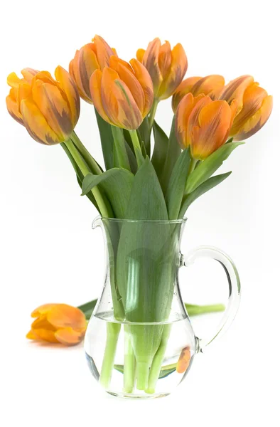 Wazon tulipany — Zdjęcie stockowe