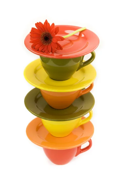 Color cups and red flower — Stock Photo, Image