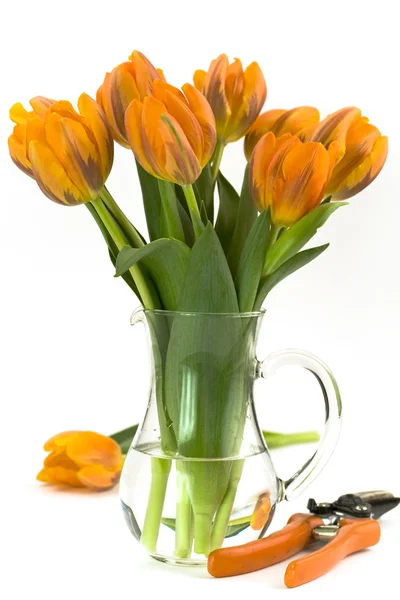 Blommor och sax — Stockfoto