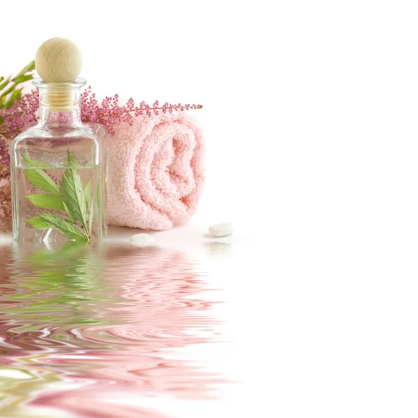 Vaso con foglie fresche e asciugamano — Foto Stock