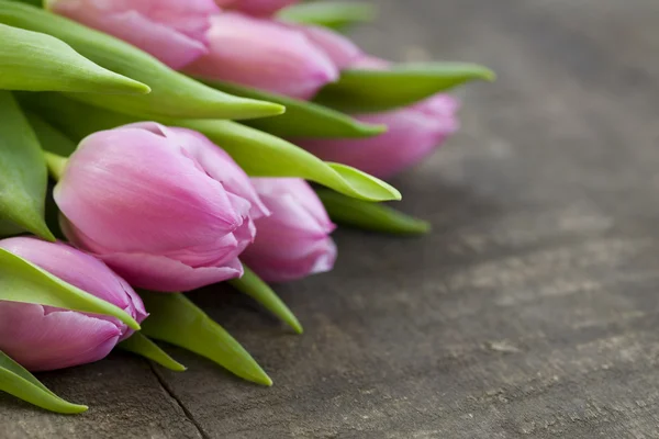 Rózsaszín tulipán csokor — Stock Fotó