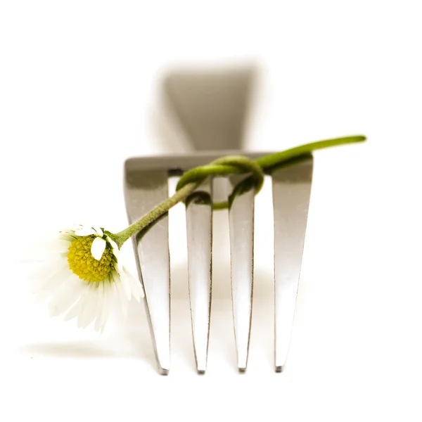 Fork and daisy — Stock Photo, Image