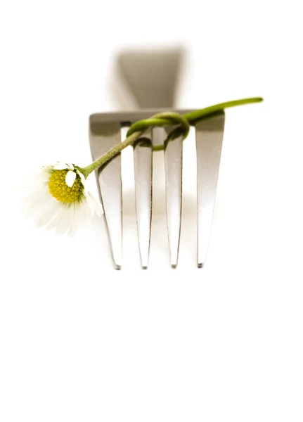 叉和雏菊 — 图库照片