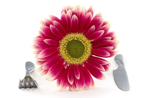 Couteau, fourchette et fleur — Photo
