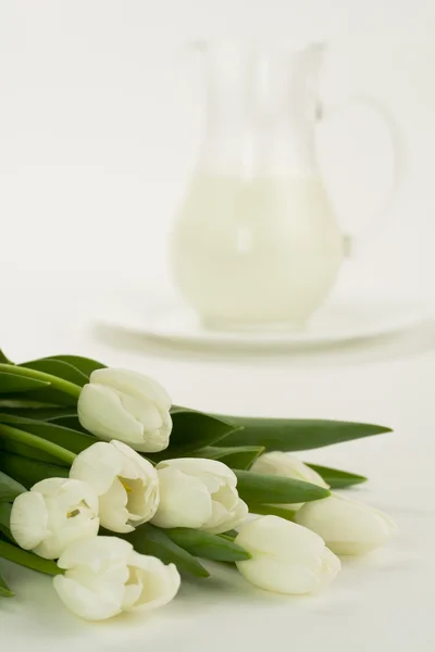 stock image Milk and tulips