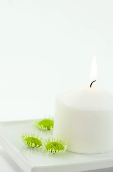 White candle and floating flowers — Stock Photo, Image