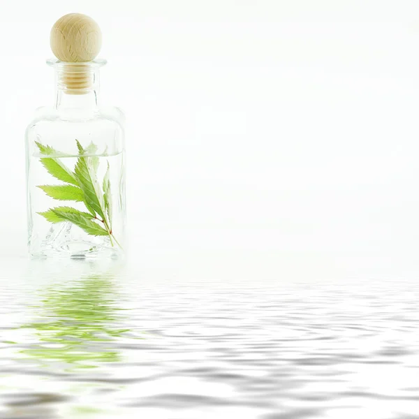 用新鲜的叶子 (水疗概念 jar) — 图库照片