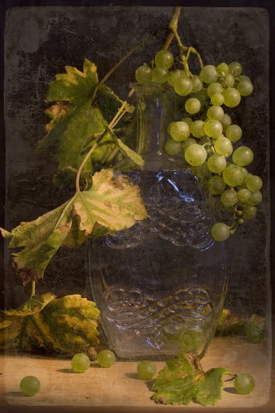 Осенний виноград — стоковое фото
