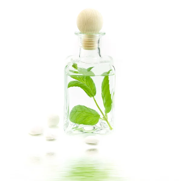Jar with fresh leaves — Stock Photo, Image