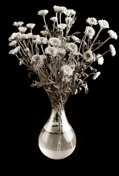 Μπουκέτο λουλούδια σε ένα βάζο — Φωτογραφία Αρχείου
