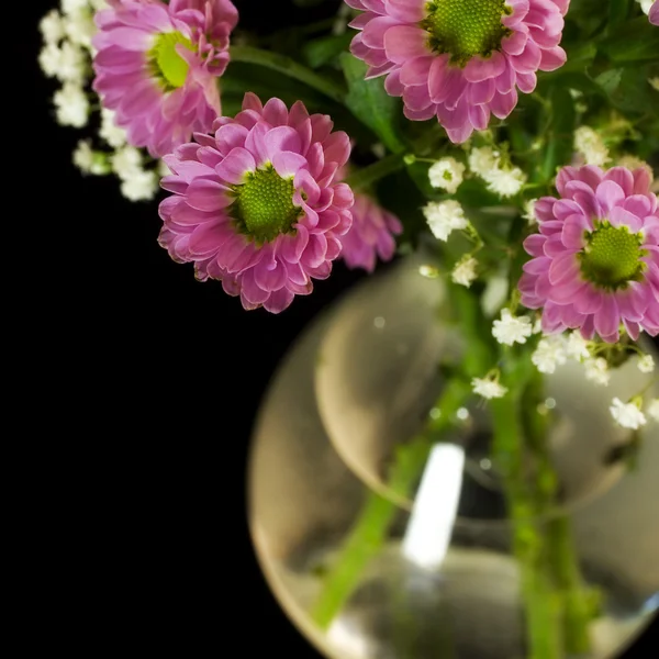 Flores frescas en un jarrón —  Fotos de Stock