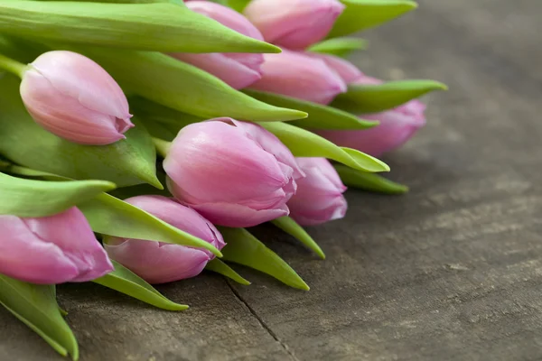 Rózsaszín tulipán csokor — Stock Fotó