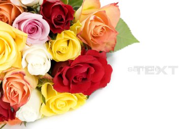 Roses clipart