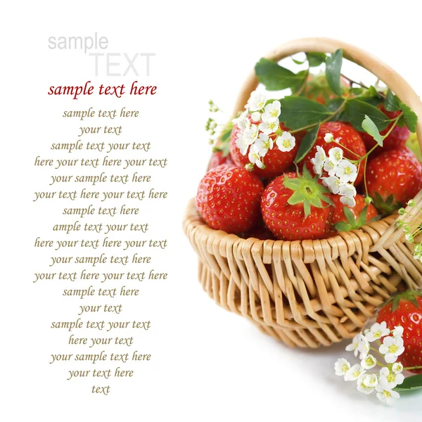 Korb mit Erdbeeren — Stockfoto