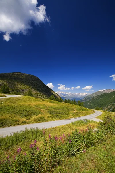 stock image Beautiful alpine landscape