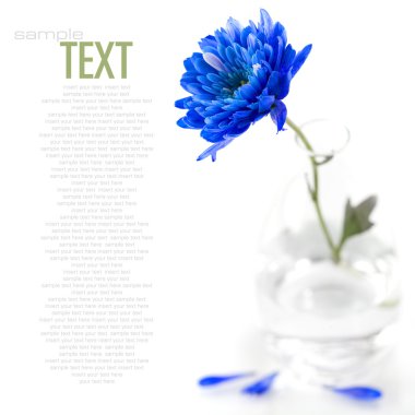 Blue flower clipart