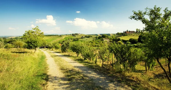 stock image Tuscan landscape