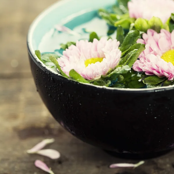 물과 꽃의 그릇 — 스톡 사진