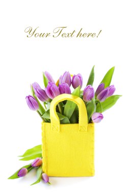 Fresh tulips clipart