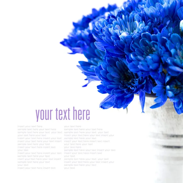 Modré květy — Stock fotografie