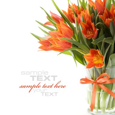 Tulips clipart