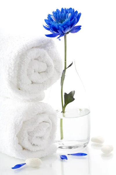 Conceito de spa (flor e toalha ). — Fotografia de Stock