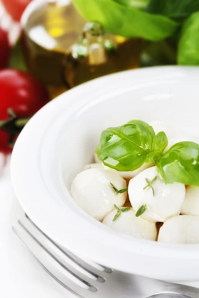 Italian mozzarella close up — Stock Photo, Image