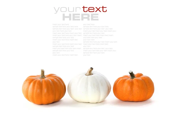 Row of pumpkins — Stock Photo, Image