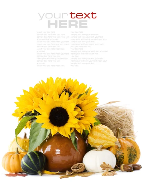 Pumpkins and sunflowers — Stock Photo, Image