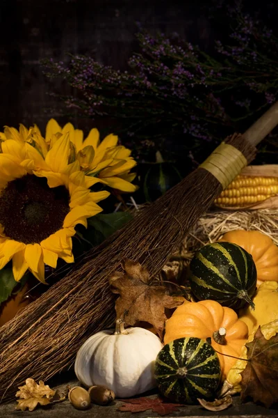 Outono ainda vida com abóboras e flores — Fotografia de Stock