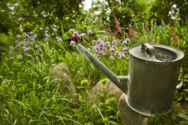 Watering can surrounded by flowers in a garden clipart