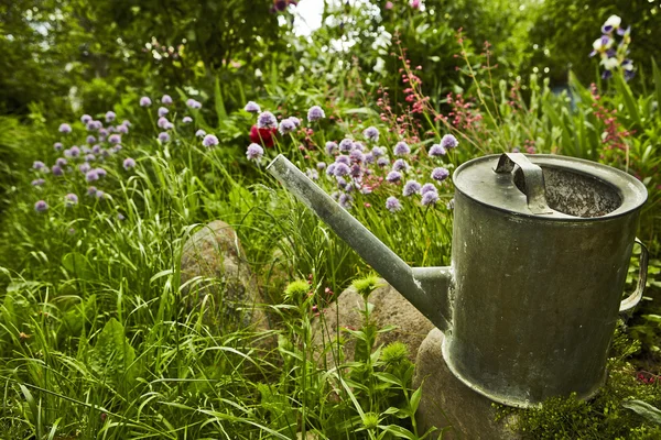 喷壶包围在一个花园中的花 — 图库照片