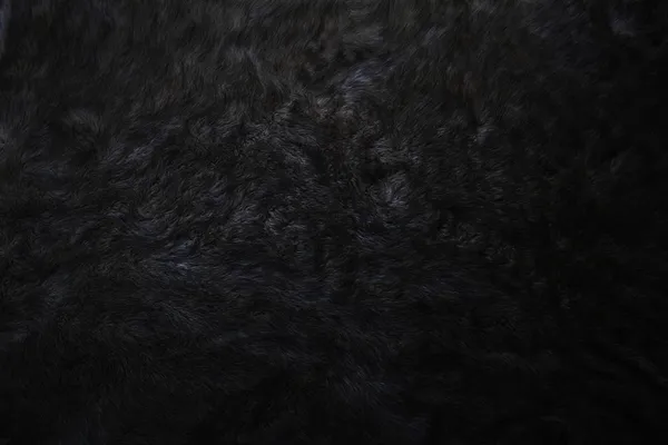 Closeup of beautiful polar Fox fur. Useful as background — Stock Photo, Image