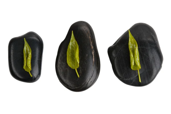 Drei Flugblätter auf drei Steinen — Stockfoto