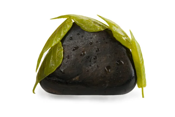 Sebze ve harçyaprakları yalan üzerine taş — Stok fotoğraf